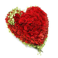 Amore Máximo - Regalar Rosas, Regalar tulipanes, regalar flores,regalar arreglos florales, regalar regalos
